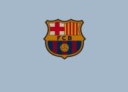 九游app下载-卡马文加爆发引领法国晋级，南非争冠战惊险战胜突尼斯