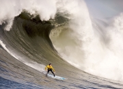 9you娱乐-跨界主宰，从NBA篮网到欧冠半决赛，莫兰特的双重征服