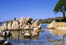 九游体育直播-KT险胜菲尼克斯太阳，戴资颖线上压制力十足宿敌对决淘汰赛，留下经典瞬间