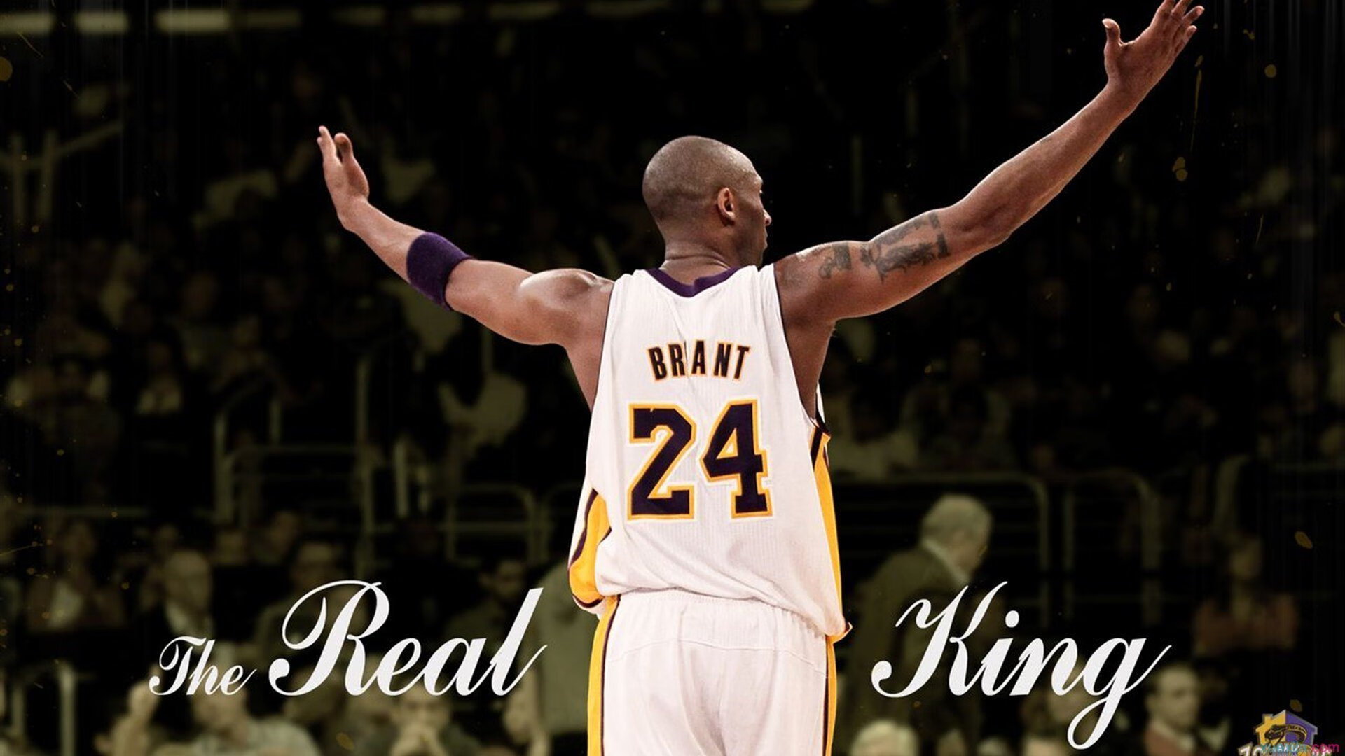 F1新赛季揭幕战与绿军战术压制，速度与策略的双重奏